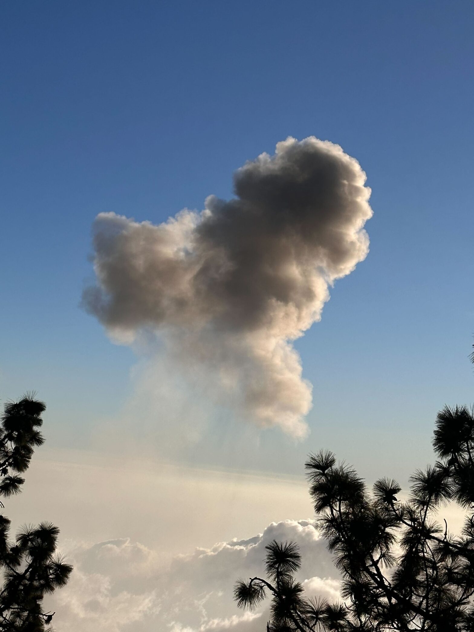 Gratitude, one of the skills we practice as the best digital marketing firm in san antonio texas